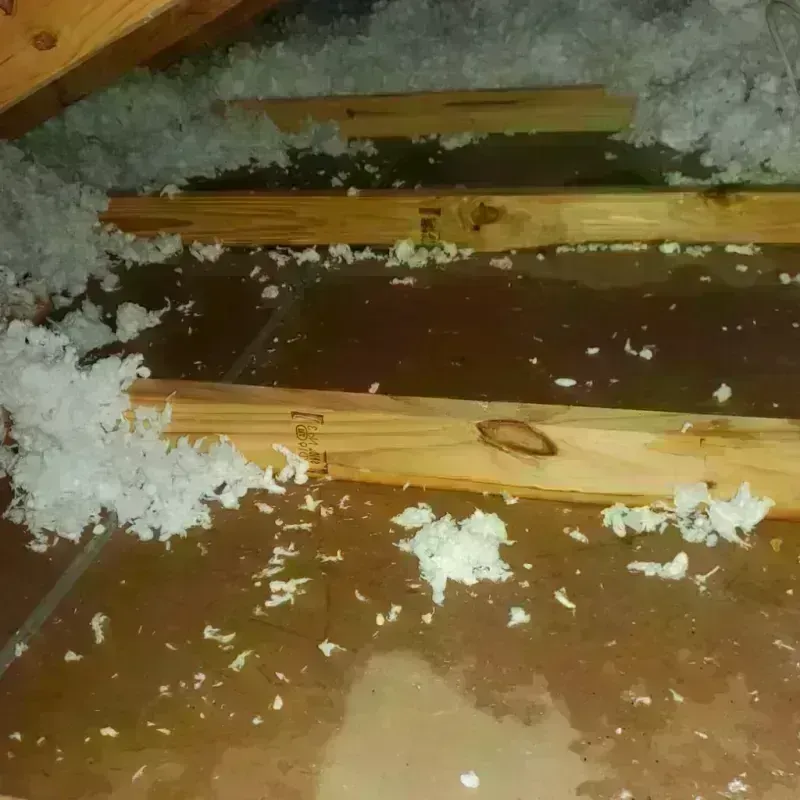 Attic Water Damage in Paradise, NV